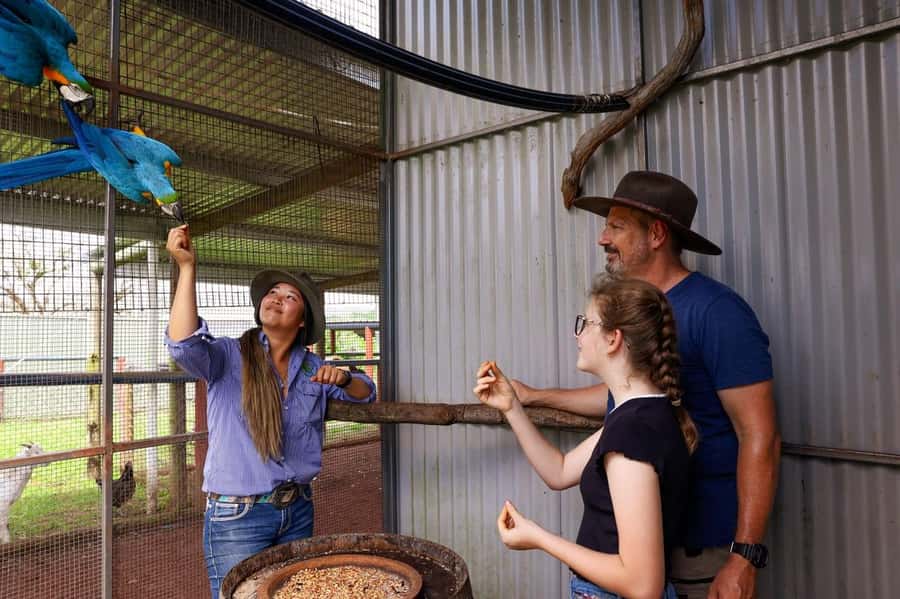 Kuranda: Quad Ride Bike and petting farm - Timing, cancellation, and planning your day