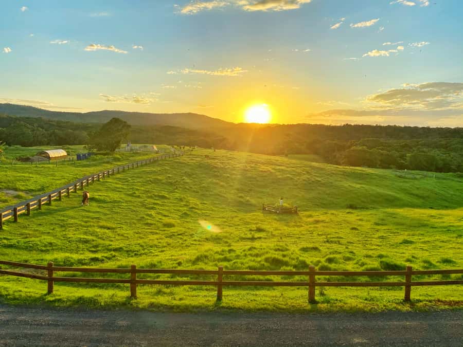 Kuranda: Quad Ride Bike and petting farm - How it compares with a standard Kuranda day