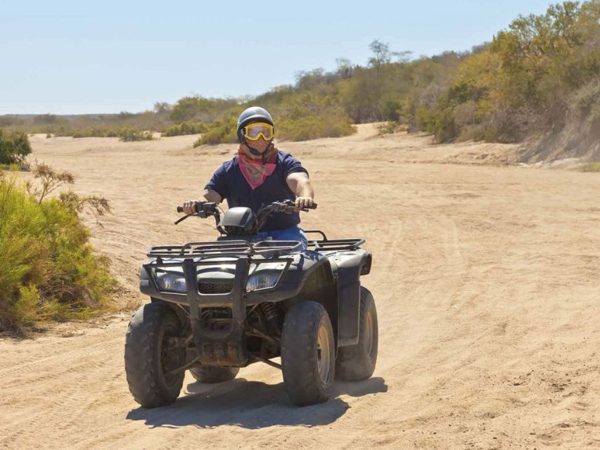 Kusadasi: Guided Quad Biking Tour - Key points to know before you book