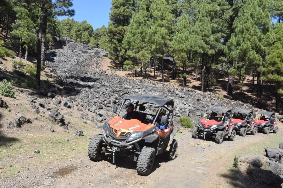 La Palma: Volcano Route Buggy Tour (Price Per Vehicle) 2 PAX - Is $234 per person good value?