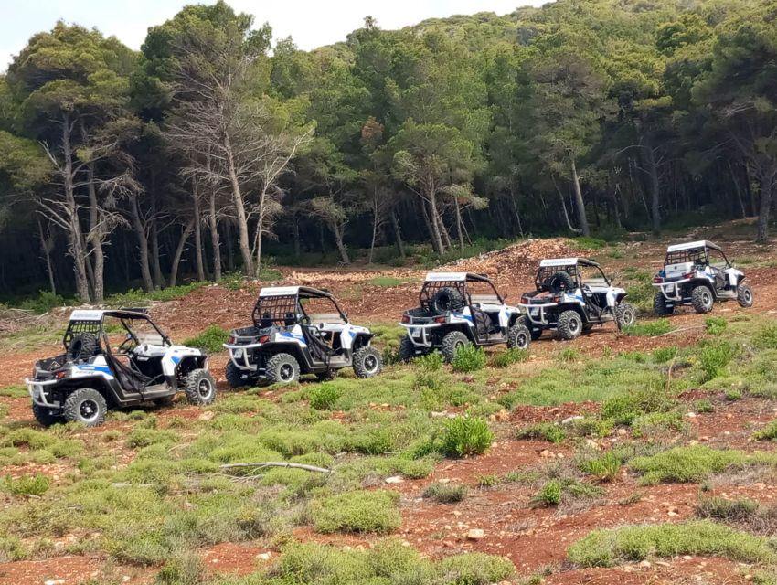 Laganas: Off-Road Buggy Adventure in Zakynthos with Lunch - Who will enjoy this most