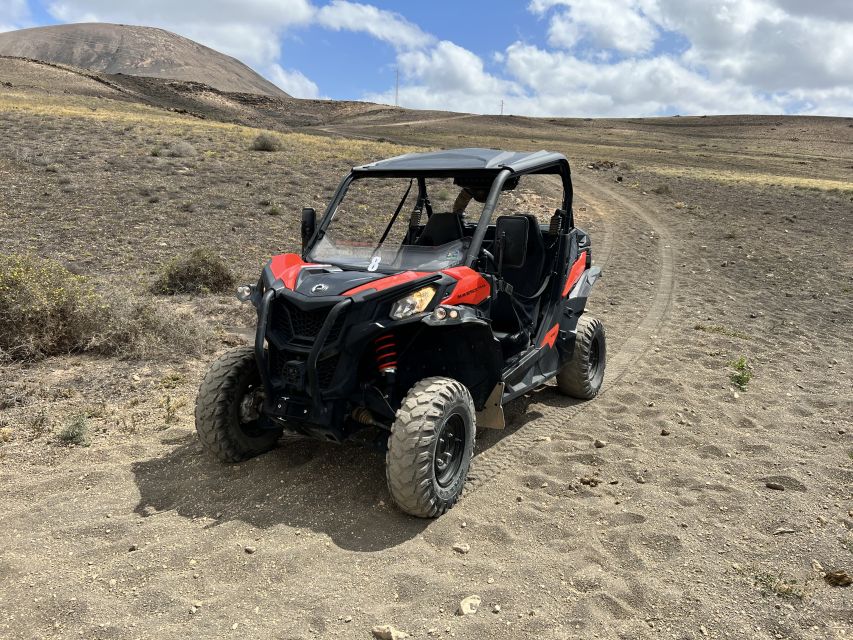 Lanzarote: Guided Can-Am Trail Buggy Tour - Key points at a glance