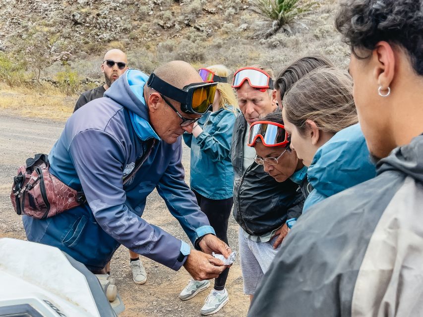 Lanzarote: Guided Off-Road Volcano Buggy Tour - Key points to know before you book