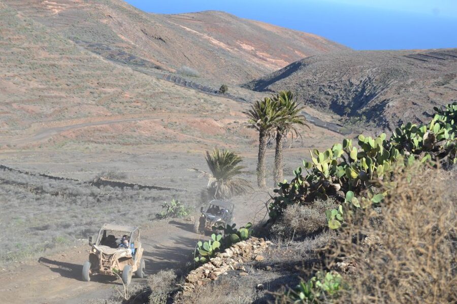 Lanzarote: Mix tour Guided Buggy Volcano Tour 4 or 6 seater - Who should book this buggy tour?