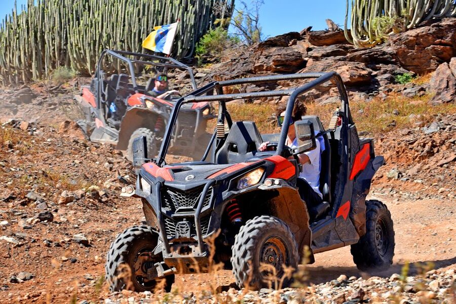 Las Palmas: Gran Canaria Guided Buggy Tour - The stops for views and photographs