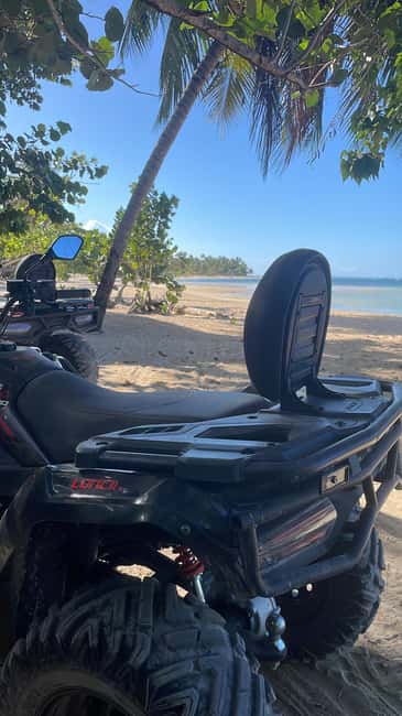 Las Terrenas: Private Coffee Trail ATV Tour in Samana - The mangrove beach finale