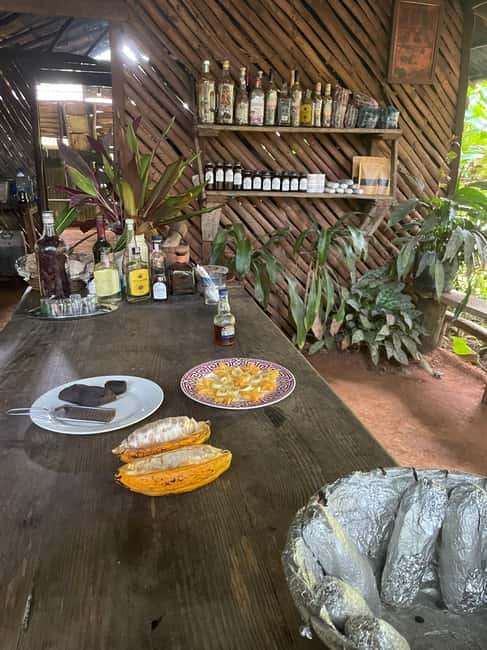 Las Terrenas: Private Coffee Trail ATV Tour in Samana - Why the $95 price can make sense
