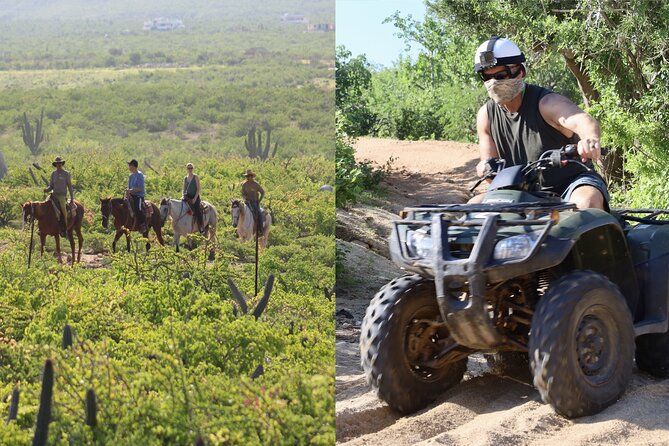 Los Cabos ATV and Pacific Horseback Riding Combo Tour - Two Baja rides in one half-day