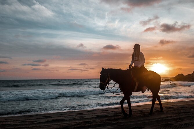 Los Cabos ATV and Pacific Horseback Riding Combo Tour - Who will enjoy this combo most