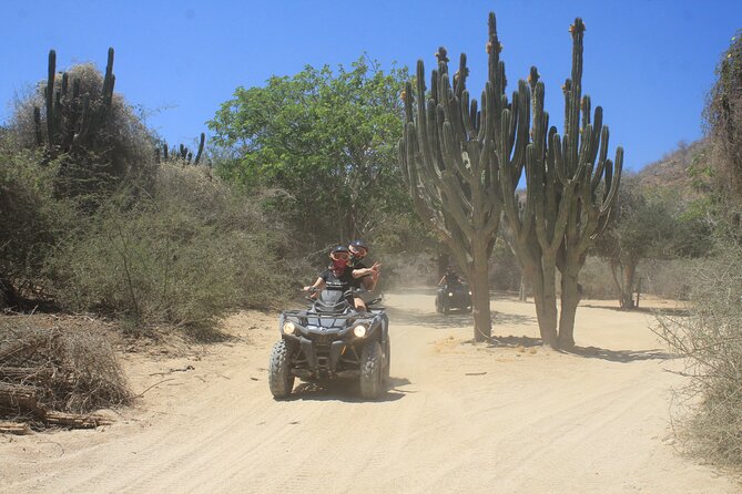 Los Cabos Beach & Desert Tour in Automatic ATV + Tequila Tasting - The real cost: $75 is only the starting point