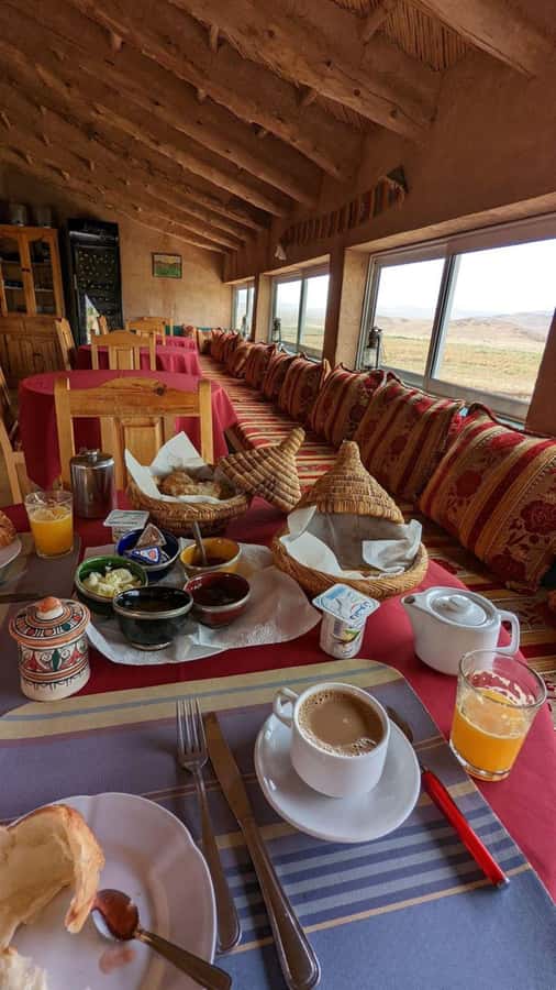 Lunch & Swimming Camel Ride and Quad Biking in Agafay - Camel riding gives the day a quieter pace