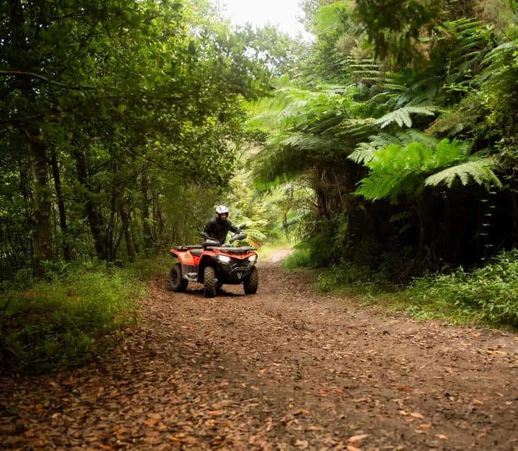 Madeira: Aventura Off-Road de ATV ou Quad - Adrenalina - Madeira seen from a quad, not a tour bus