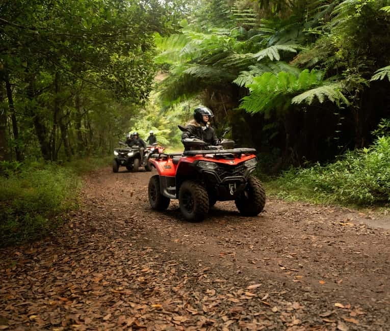 Madeira: Aventura Off-Road de ATV ou Quad - Adrenalina - Casa das Funduras and the first forest tracks