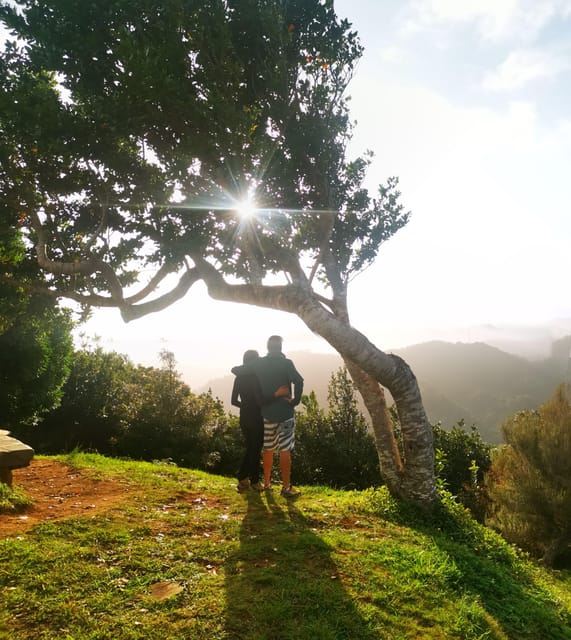 Madeira E-Buggy Adventure: 4x4 thrill & epic views! Book now - A 4x4 outing with a quieter personality