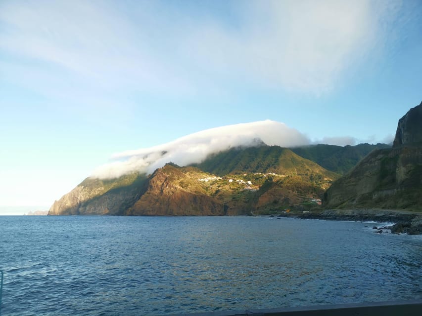 Madeira E-Buggy Adventure: 4x4 thrill & epic views! Book now - Through the Laurissilva Forest