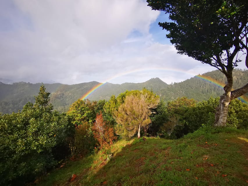 Madeira E-Buggy Adventure: 4x4 thrill & epic views! Book now - What to bring and what to leave behind