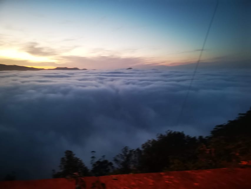 Madeira E-Buggy Adventure: 4x4 thrill & epic views! Book now - Starting at Caminho da Referta