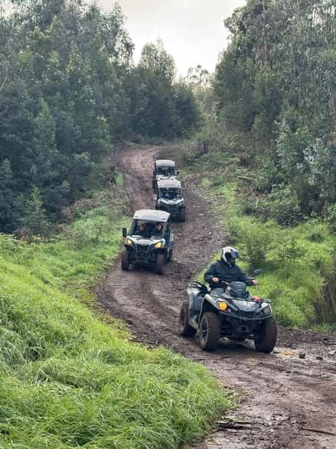 Madeira: Half-Day Off-Road Buggy Tour - Key points to know before you book