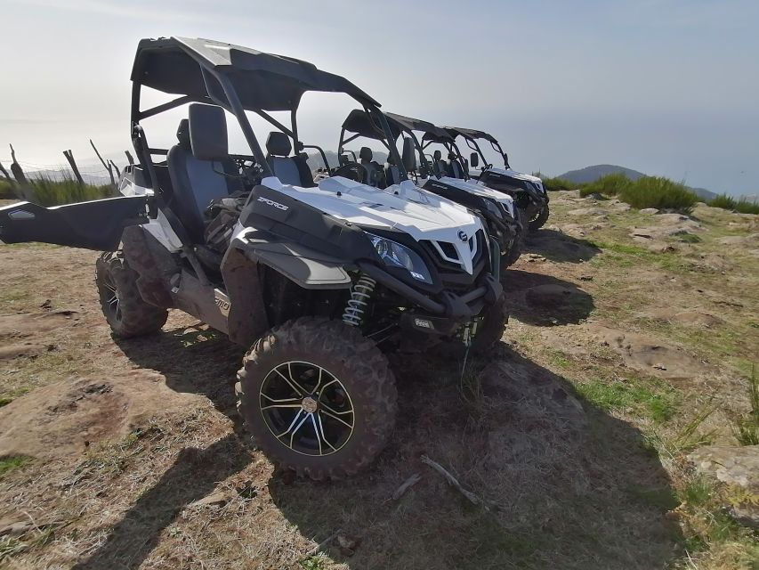 Madeira: Half-Day Off-Road Buggy Tour - Should you book the Madeira buggy tour?