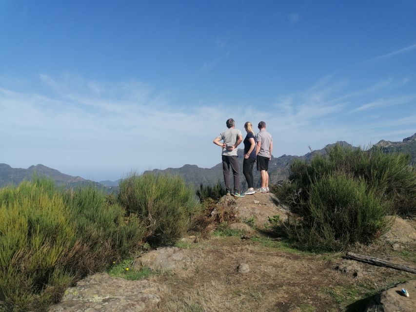 Madeira: Half-Day Off-Road Buggy Tour - Poncha, coffee, and a short local break