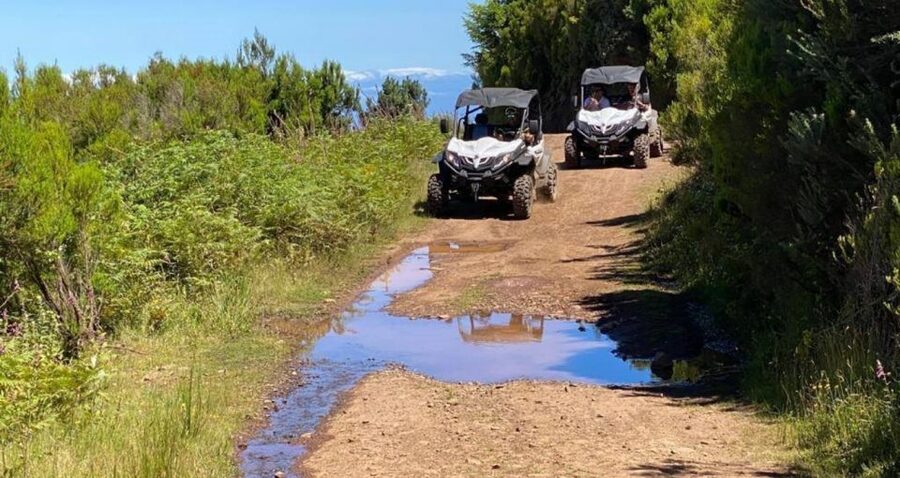 Madeira: Half-Day Off-Road Buggy Tour - Is $159 good value for two people?