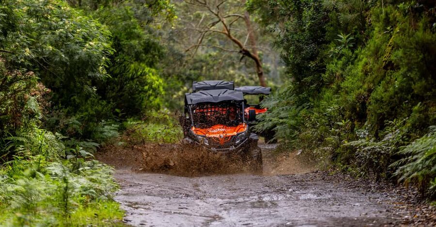 Madeira: Off-Road Buggy Adventure Through Laurissilva Forest - Key points to know before you book