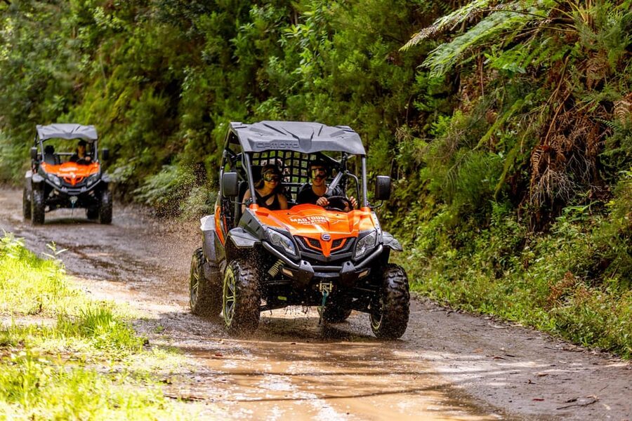 Madeira: Off-Road Buggy Adventure Through Laurissilva Forest - Boca do Risco and the north coast views
