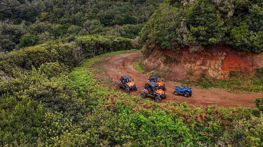 Madeira: Off-Road Buggy Adventure Through Laurissilva Forest - What the guides add to the experience