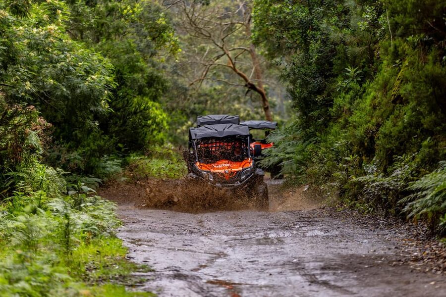 Madeira: Off-Road Buggy Adventure Through Laurissilva Forest - Mud, clothing, and the practical side of the ride