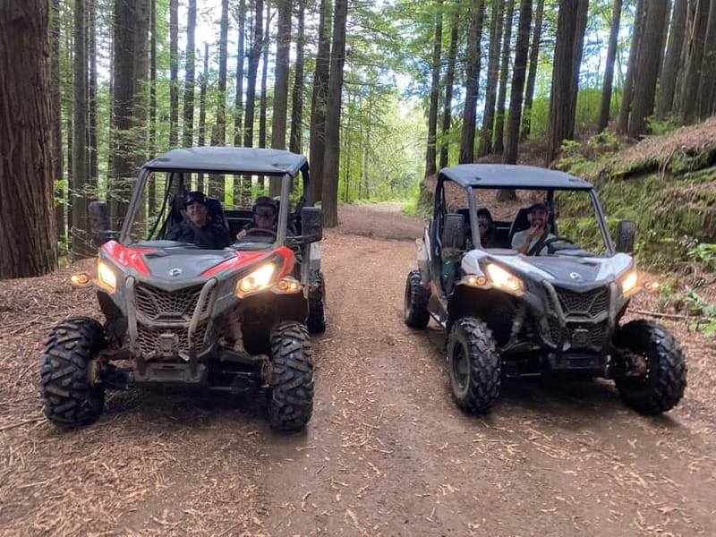 Madeira: Off-Road Buggy Driving Experience - Into Madeira’s Laurisilva forest