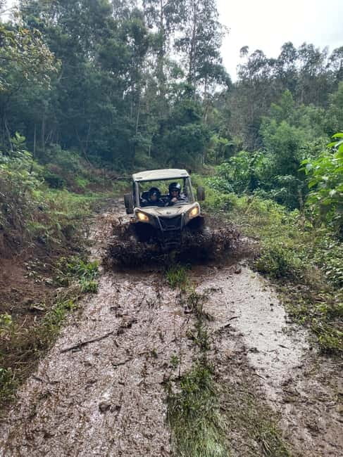 Madeira: Off-Road Buggy Driving Experience - Is $176 good value for two people?