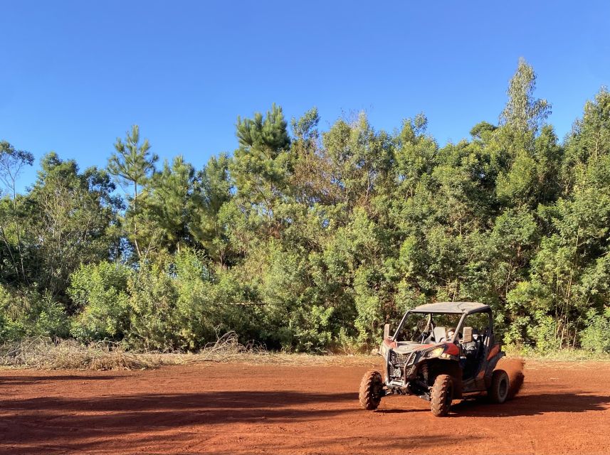 Madeira: Off-Road Buggy Driving Experience - Who should book this Madeira buggy ride?