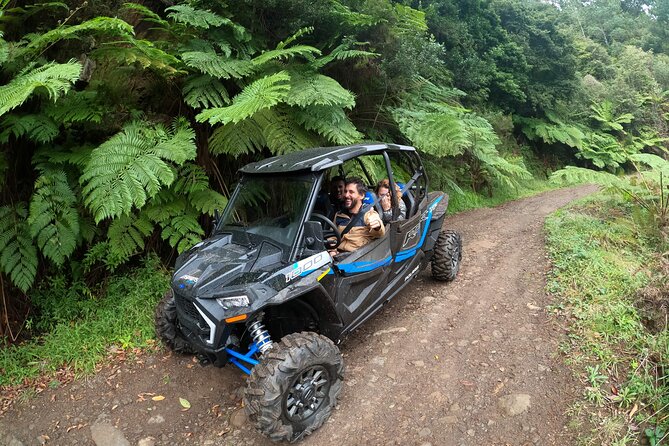 Madeira Private Buggy Adventure: Forest and Mountains - Why this Madeira buggy tour feels different