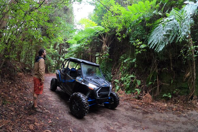 Madeira Private Buggy Adventure: Forest and Mountains - Starting in Funchal and getting ready to drive