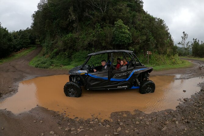 Madeira Private Buggy Adventure: Forest and Mountains - What it is like behind the wheel