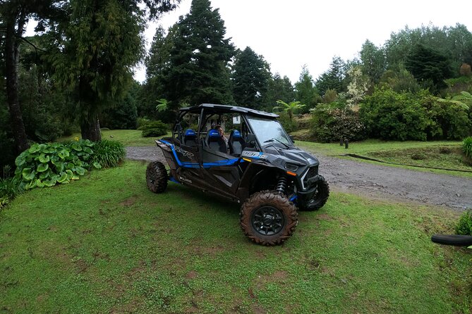 Madeira Private Buggy Adventure: Forest and Mountains - Why the guide makes a difference