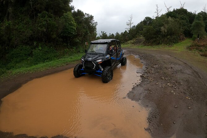 Madeira Private Buggy Adventure: Forest and Mountains - Is $111.02 per person good value?