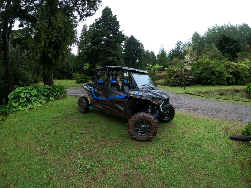Madeira Private Buggy Adventure: Mountains and Forests - Key points to know before you book