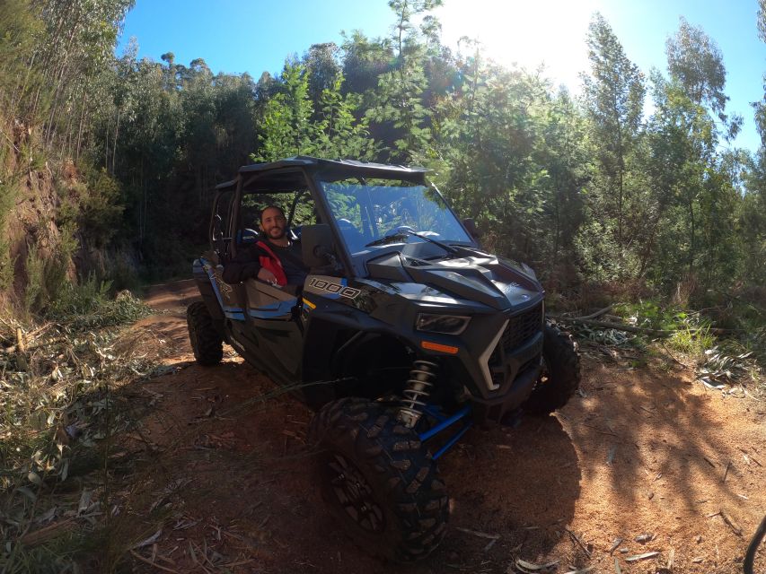 Madeira Private Buggy Adventure: Mountains and Forests - Why this Madeira buggy trip is different
