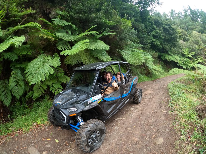 Madeira Private Buggy Adventure: Mountains and Forests - Pico Alto and the first mountain views