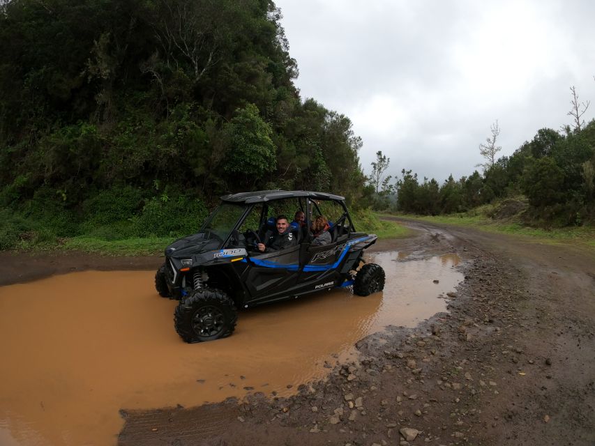 Madeira Private Buggy Adventure: Mountains and Forests - Poiso and Pico do Suna: the ride begins to change