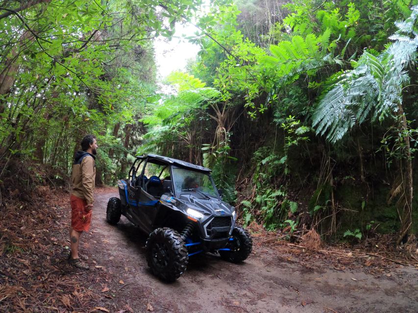 Madeira Private Buggy Adventure: Mountains and Forests - Lamaceiros lagoon and the Portela viewpoint