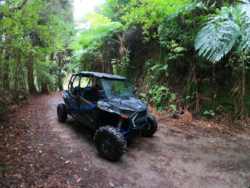 Madeira Private Buggy Adventure: Mountains and Forests - The Serra das Funduras and Laurissilva Forest