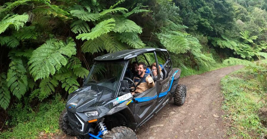 Madeira Private Buggy Adventure: Mountains and Forests - What the $212 price means