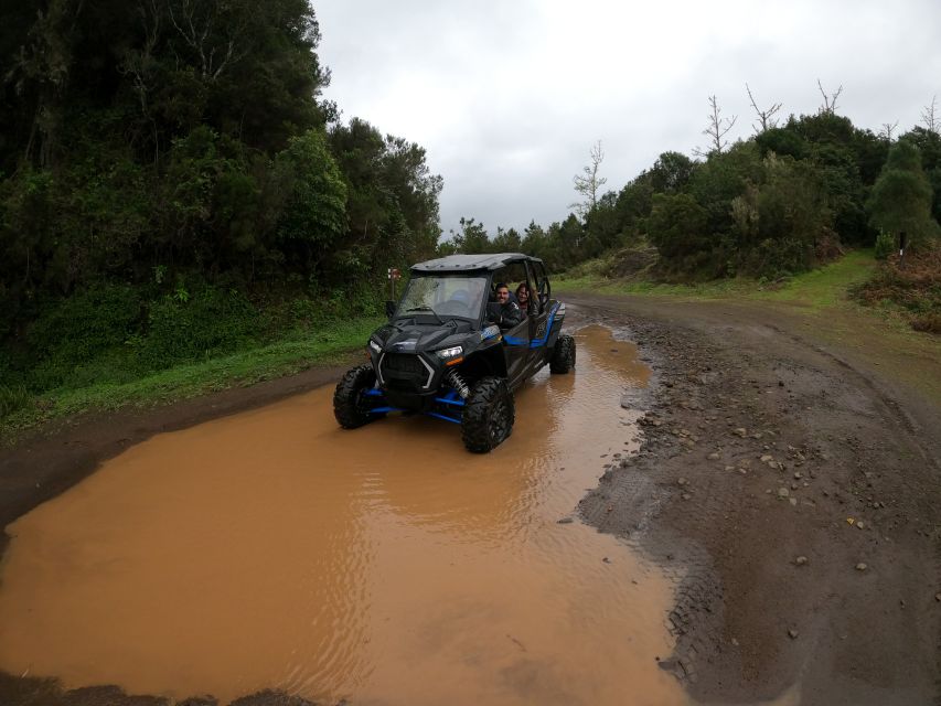 Madeira Private Buggy Adventure: Mountains and Forests - Starting in Funchal and getting familiar with the RZR
