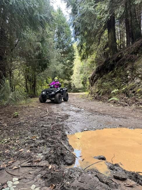 Madeira:Private Mountain Quad Adventure–Explore Wild Madeira - Handling the quads before the trail gets rough