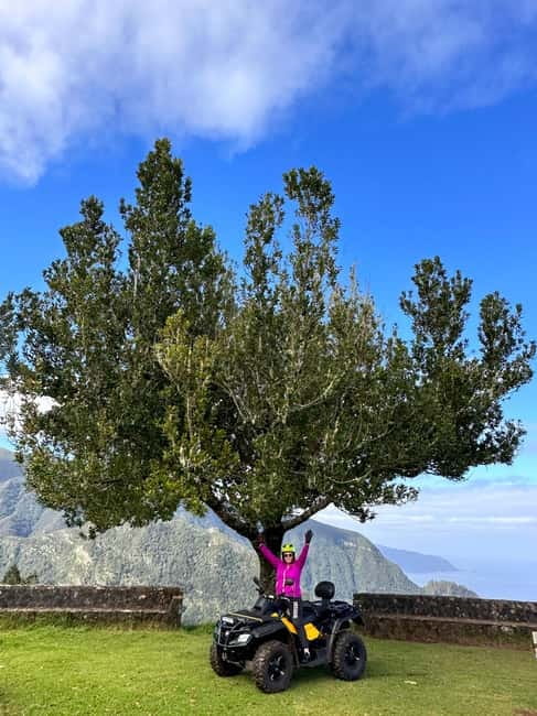 Madeira:Private Mountain Quad Adventure–Explore Wild Madeira - The sequoias add a surprising change of pace