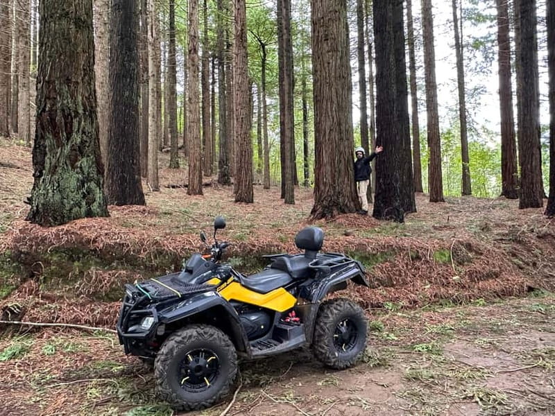 Madeira:Private Mountain Quad Adventure–Explore Wild Madeira - Should you book the Madeira quad adventure?