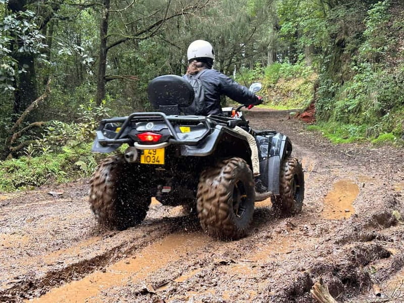 Madeira:Private Mountain Quad Adventure–Explore Wild Madeira - Riding through Madeira’s ancient laurel forest