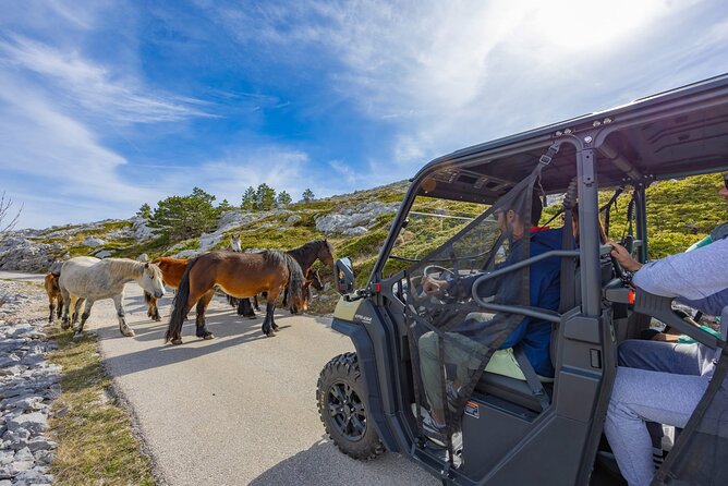 Makarska: Baggy Skywalk & Biokovo viewpoint Tour - Why take a buggy to Biokovo?